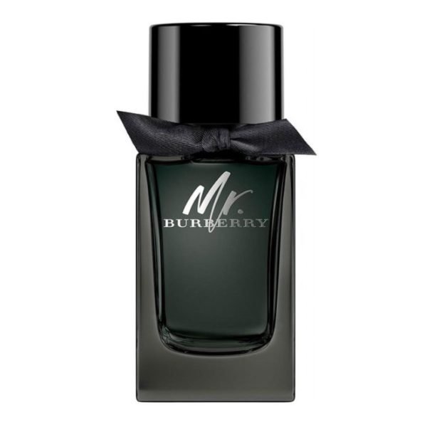 Burberry Mr. Burberry Eau De Parfum For Men 100ml